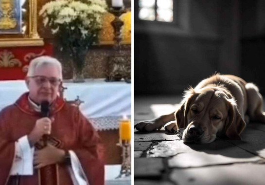 Reprodução / Pascom / FreePik