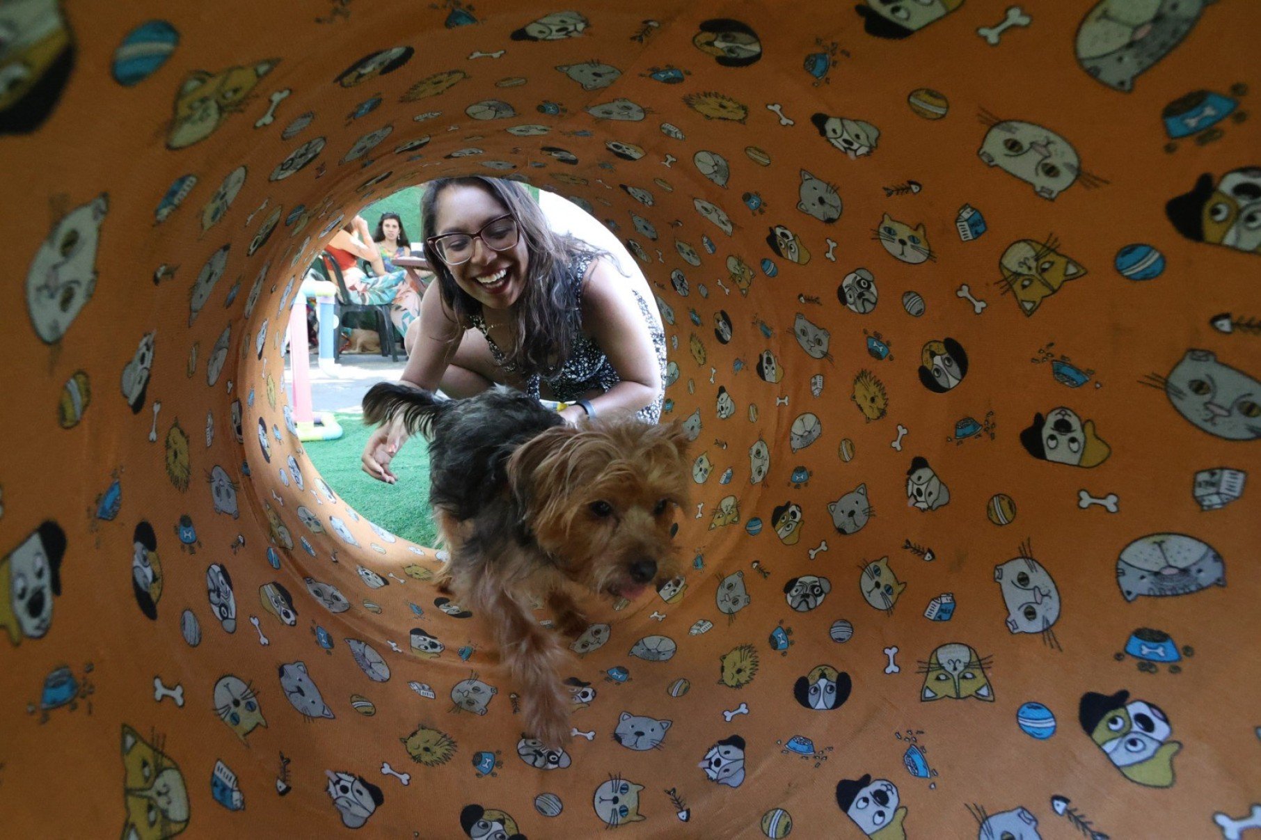 Primeiro Pet Day, evento com cardápio exclusivo par cães, que acontece no Iracema Bar com a proposta de integrar a rotina dos pets a dos tutores.-Marcos Vieira/EM/DA Press