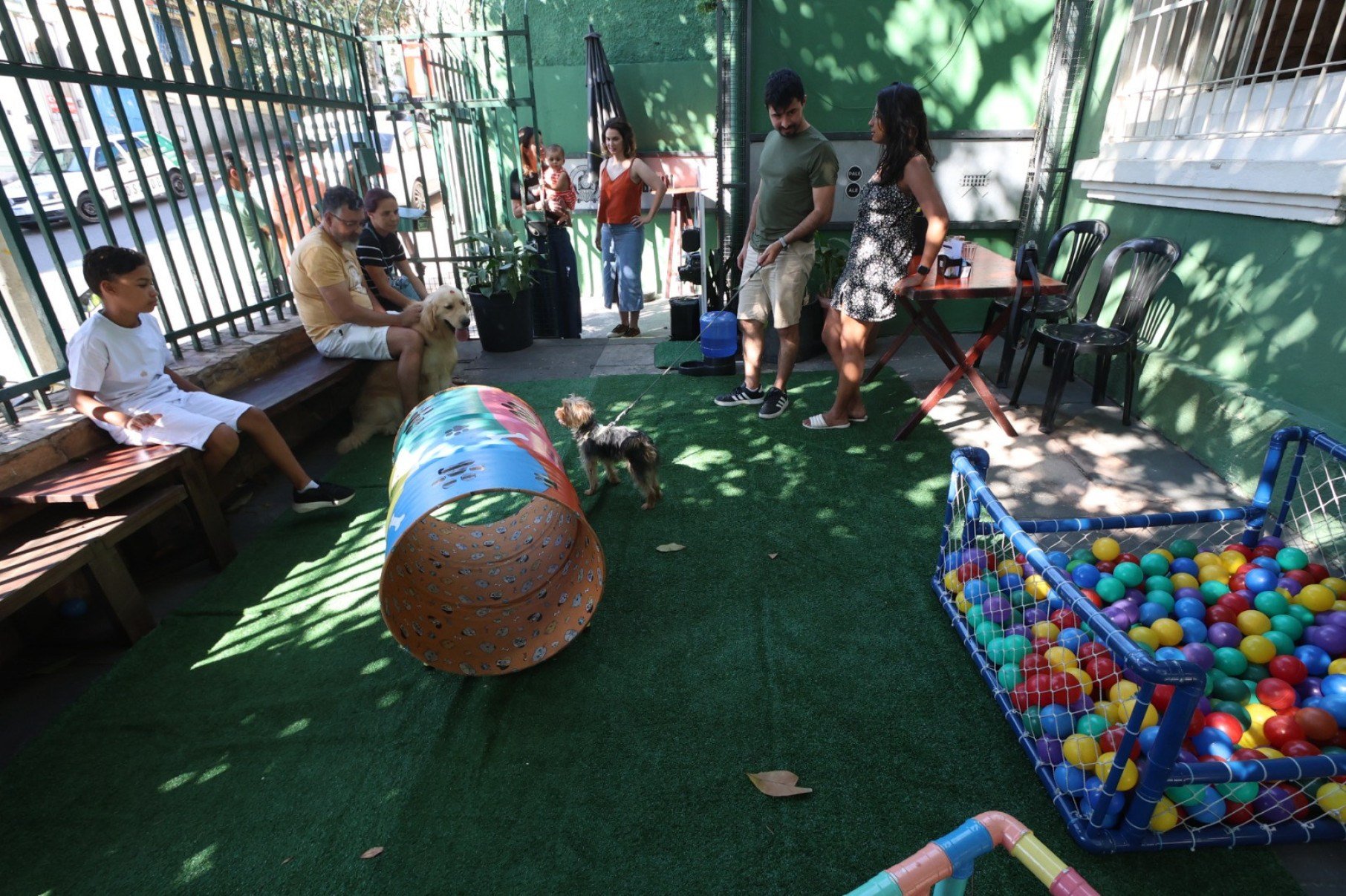 Primeiro Pet Day, evento com cardápio exclusivo par cães, que acontece no Iracema Bar com a proposta de integrar a rotina dos pets a dos tutores.-Marcos Vieira/EM/DA Press
