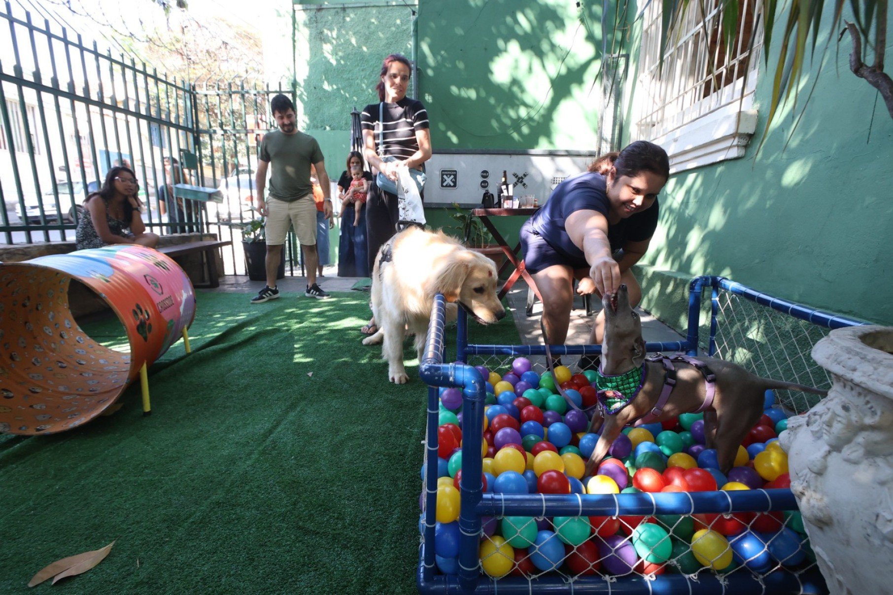 Pet Day é realizado no Iracema Bar, no Bairro Santa Tereza, na Região Leste de BH-Marcos Vieira/EM/DA Press