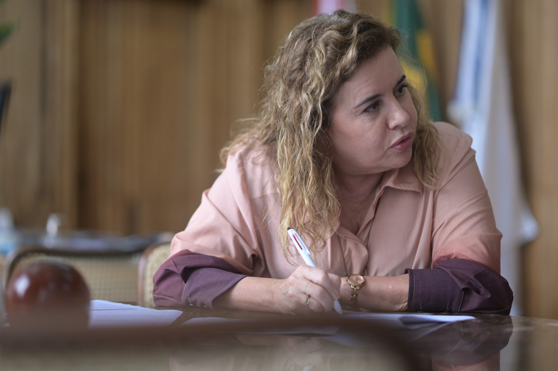 Reitora da UFMG, professora Sandra Goulart Almeida, detalha situação das bolsas de assistência estudantil na UFMG-Leandro Couri/EM/DA Press