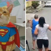 Gato salva idosa de 72 anos de ataque de pitbull - TV Globo / reprodução / redes sociais