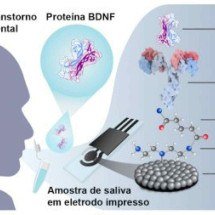 Biossensor identifica na saliva proteína ligada à depressão e esquizofrenia - Ilustração: Amanda H. Imamura/Sci Illustrations