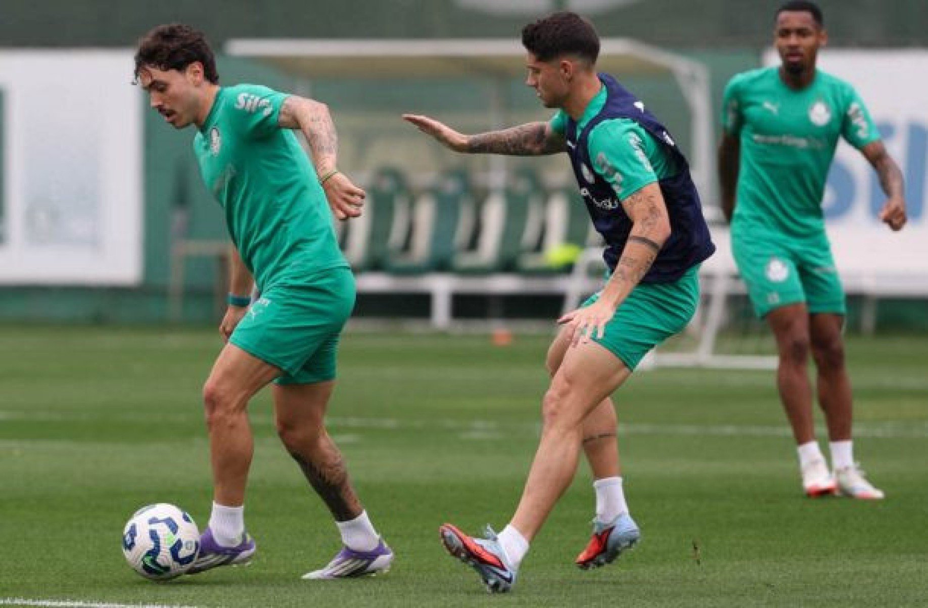 Palmeiras se reapresenta, e Flaco López já projeta Choque-Rei