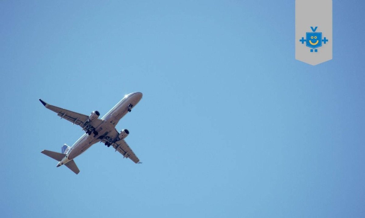 Avião no céu em uma viagem interenacional -  (crédito: Reprodução Educando seu Bolso)