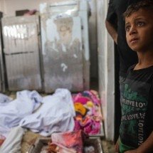 Trump crê em acordo para libertar reféns em Gaza em alguns dias - BASHAR TALEB / AFP