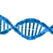 Confira as habilidades que testes genéticos em crianças podem revelar  - PublicDomainPictures/Pixabay