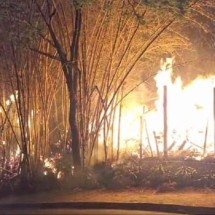 Incêndio em bambuzal e pilha de mourões mobiliza bombeiros na Pampulha - Marcos Vieira/EM/D.A.Press
