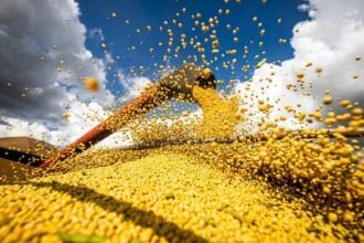Sob análise do Cade, Moratória da Soja divide o agronegócio