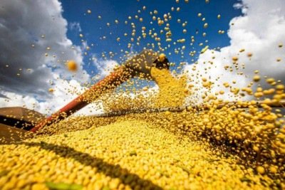 Sob análise do Cade, Moratória da Soja divide o agronegócio -  (crédito: Platobr Economia)