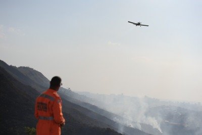 Bombeiros combatem incêndio na Mata da Baleia -  (crédito: Alexandre Guzanshe/EM/D.A.Press)