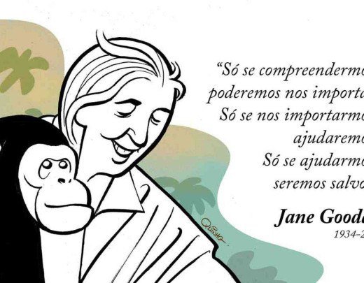 Homenagem a Jane Goodall -  (crédito: Quinho)