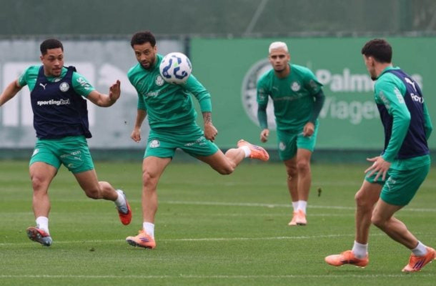 Palmeiras encerra preparação para clássico contra o São Paulo