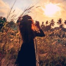 O Orixá Ossaim no Candomblé: O Mestre das Ervas - Wemystic