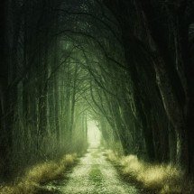 Lugares mais misteriosos do mundo guardam lendas e segredos - Joe por Pixabay 