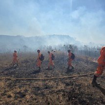 Incêndio em Sete Lagoas é debelado após sexto dia de combate - CBMMG/Divulga&ccedil;&atilde;o