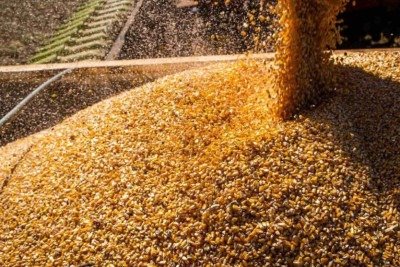 Setores do agro articulam flexibilizações à Moratória da Soja -  (crédito: Platobr Economia)