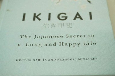 Ikigai significa “razão de ser” ou “propósito de viver”. É a filosofia japonesa que une o que se ama, o que é bom, sustento e o que o mundo precisa. No encontro desses quatro pilares, nasce um ponto de equilíbrio que dá sentido à vida. Encontrar seu Ikigai é descobrir o que faz cada dia valer a pena todos os dias. -  (crédito: Suraj Nath/Unsplash)