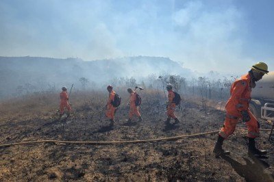 Na Serra de Santa Helena, em Sete Lagoas, o fogo persistiu por seis dias consecutivos  -  (crédito: CBMMG/Divulgação)