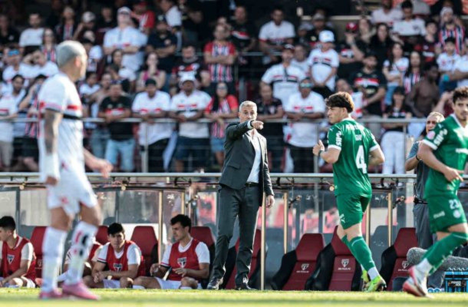 “Nunca vi nada igual de escandaloso”, diz Crespo após derrota do São Paulo