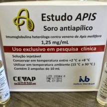 Soro nacional contra envenenamento por picada de abelha vai entrar na fase  - CTS-Cevap/divulgação