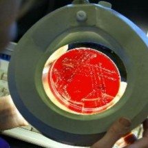 O infectologista do futuro - Greg Wood/AFP