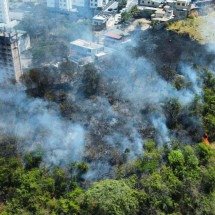 BH: veja fotos do incêndio que atinge prédio e mata da Pampulha - Leandro Couri/EM/D.A. Press