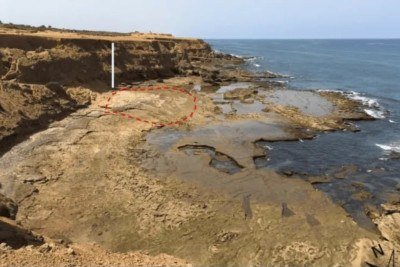 Pesquisadores da Universidade do Sul da Bretanha da França descobriram pegadas humanas que, conforme análises no local,  foram deixadas há cerca de 90 mil anos no Marrocos. O periódico Scientific Reports divulgou o caso.   -  (crédito: M. Sedrati et al, Scientific Reports, 2024 (CC BY 4.0))