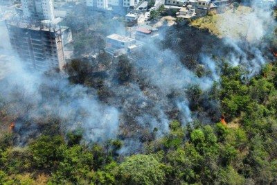 Bombeiros combatem as chamas na divisa entre os bairros Ouro Preto e Engenho Nogueira, na Pampulha, em Belo Horizonte, na manhã desta segunda
 -  (crédito: Leandro Couri/EM/D.A. Press)