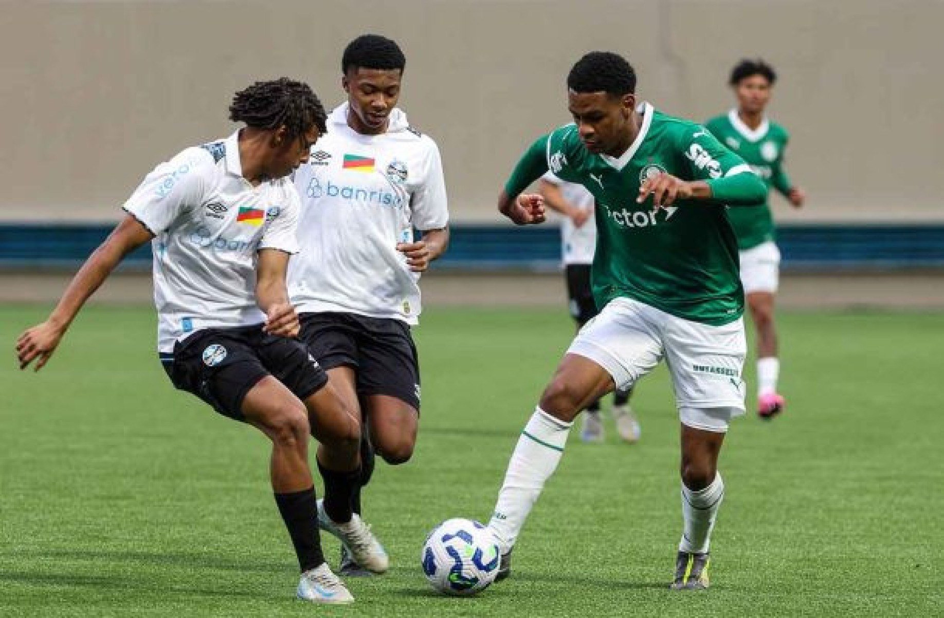 Palmeiras x Grêmio, pelo Brasileirão Sub-17: onde assistir, escalações e arbitragem
