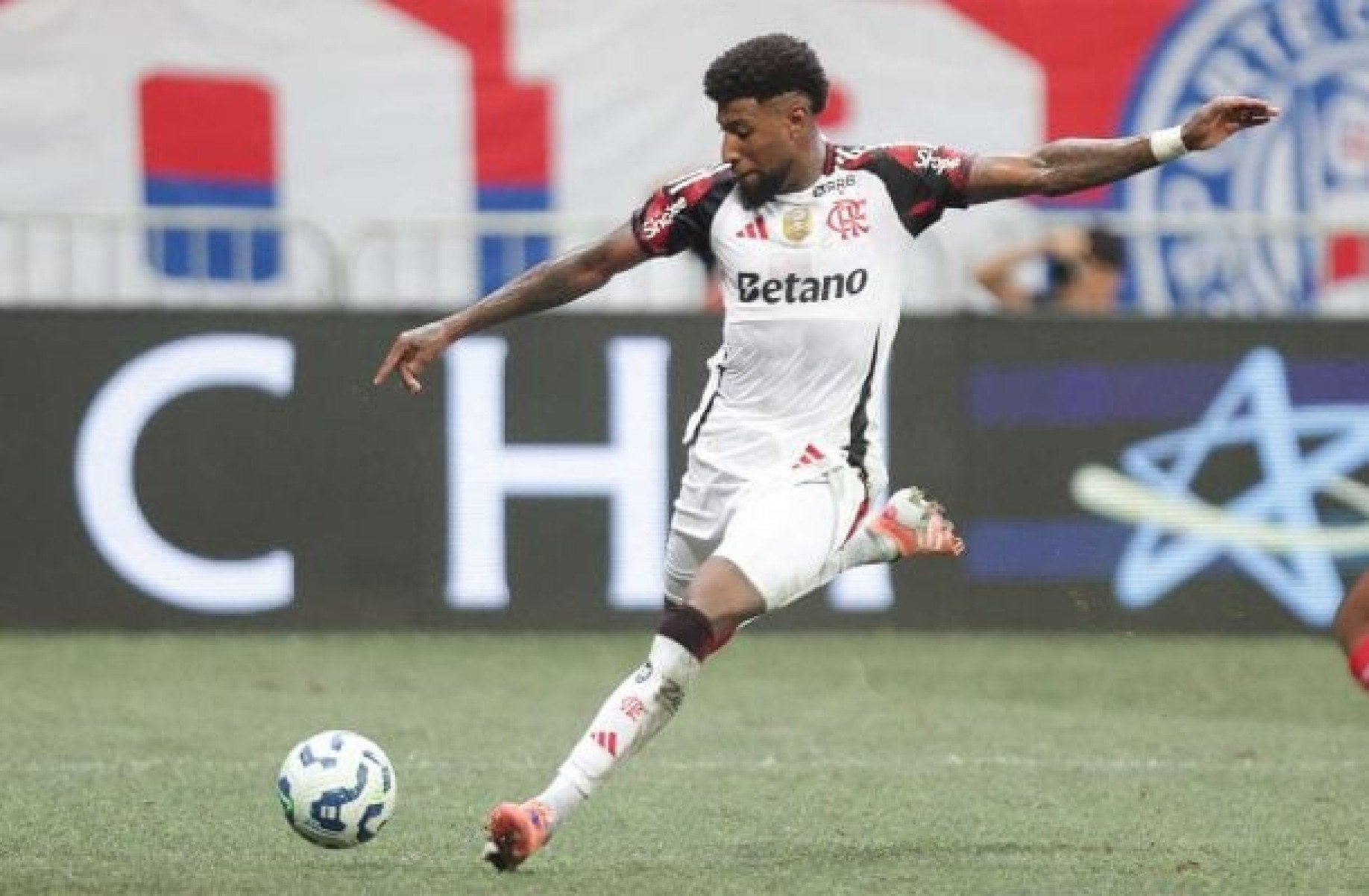 Royal faz críticas à arbitragem brasileira: “Estou assustado”