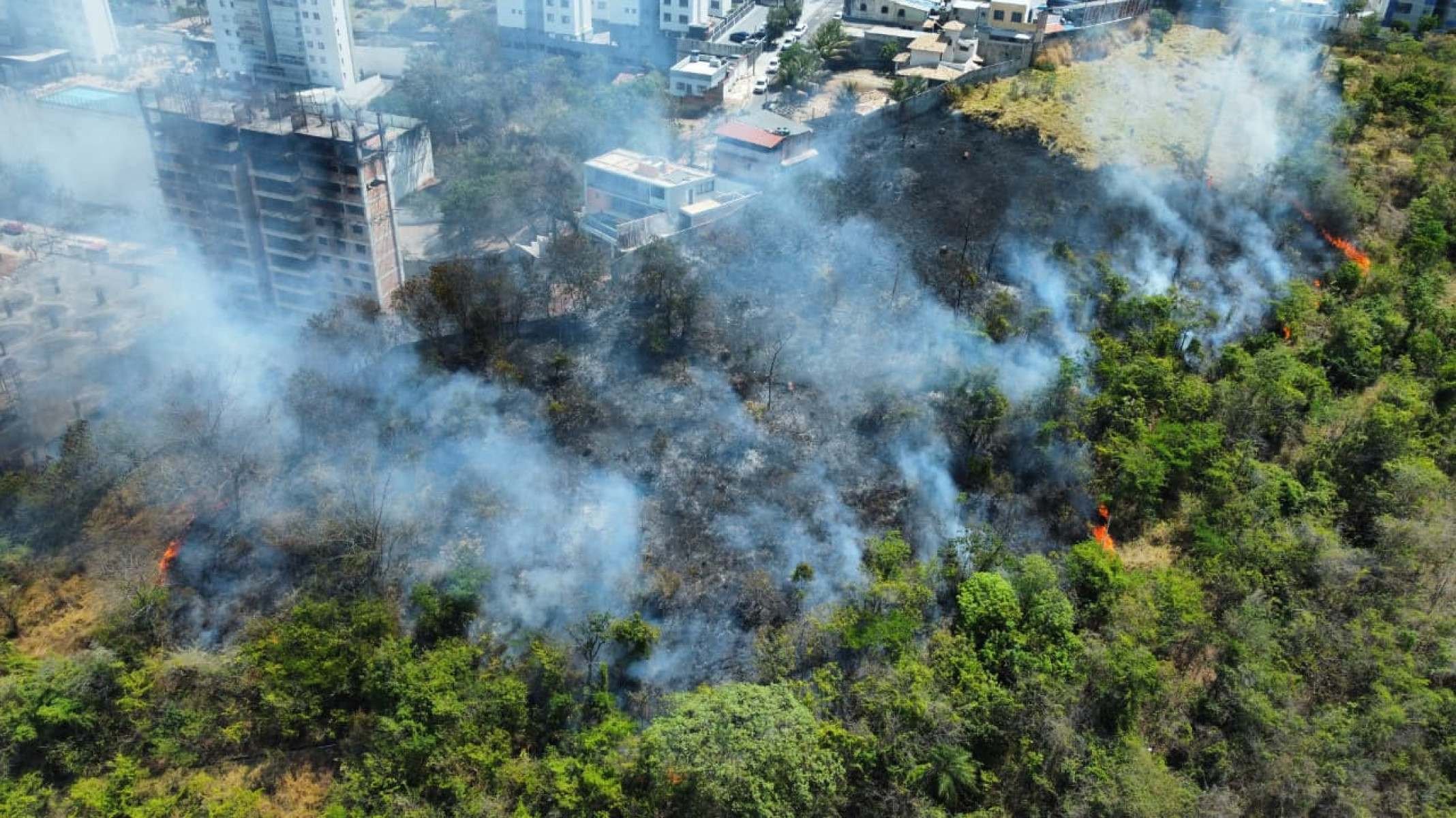 Bombeiros combatem as chamas na divisa entre os bairros Ouro Preto e Engenho Nogueira, na Pampulha, em Belo Horizonte, na manhã desta segunda
-Leandro Couri/EM/D.A. Press