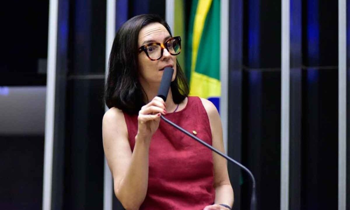 Ana Pimentel: solução para controle de bebidas pode estar na interface entre os diversos sistemas de acompanhamento -  (crédito: ZECA RIBEIRO/CÂMARA DOS DEPUTADOS)