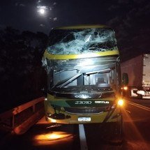 BR-262: árvore cai sobre ônibus com 27 passageiros em Minas - PRF/Reprodução