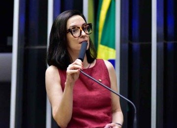 Ana Pimentel: solução para controle de bebidas pode estar na interface entre os diversos sistemas de acompanhamento -  (crédito: ZECA RIBEIRO/CÂMARA DOS DEPUTADOS)