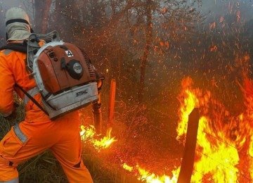 Bombeiro tentam impedir que fogo em mata alcance a cidade de Pouso Alto -  (crédito: CBMMG)