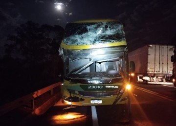 Ônibus destruído depois que árvore caiu sobre veículo na BR-262 -  (crédito: PRF/Reprodução)