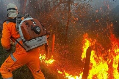 Bombeiro tentam impedir que fogo em mata alcance a cidade de Pouso Alto -  (crédito: CBMMG)