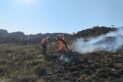Entra no terceiro dia a luta dos bombeiros para apagar incêndio em mata preservada -  (crédito: CBMMG)