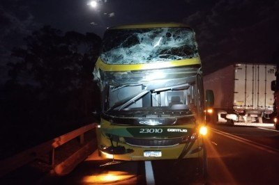 Ônibus destruído depois que árvore caiu sobre veículo na BR-262 -  (crédito: PRF/Reprodução)