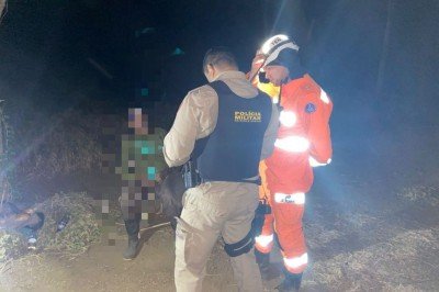Durante a ocorrência, os bombeiros identificaram que o incêndio teve início em uma área particular próxima ao limite da área de preservação -  (crédito: Corpo de Bombeiros/Divulgação)