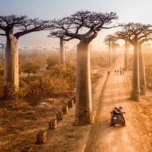 É seguro viajar para Madagascar agora? O que saber sobre a crise no país - Catai Destinos/Reprodução