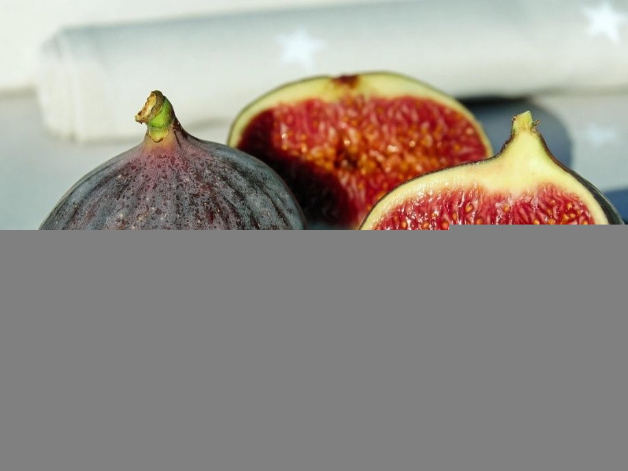 Símbolo de prosperidade, figo é um pseudofruto - Pixabay