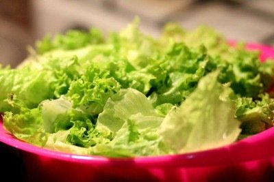 Uma das hortaliças mais consumidas do Brasil, a Alface (Lactuca sativa) apresenta uma variedade de cores, formas e tamanhos e traz inúmeros benefícios à saúde do consumidor. Nutritiva e com baixa caloria, a folha é um elemento importante na culinária brasileira e está presente em diversos pratos. -  (crédito: Imagem de Pexels por Pixabay)