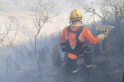 O combate ao fogo na Serra do Brigadeiro é outra preocupação do Corpo de Bombeiros -  (crédito: CBMMG)