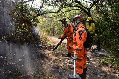 Incêndio na Serra de São José, reserva natural entre São João del-Rei (MG) e Tiradentes (MG) chega no quarto dia de combate -  (crédito: Leandro Couri/EM/D.A. Press)