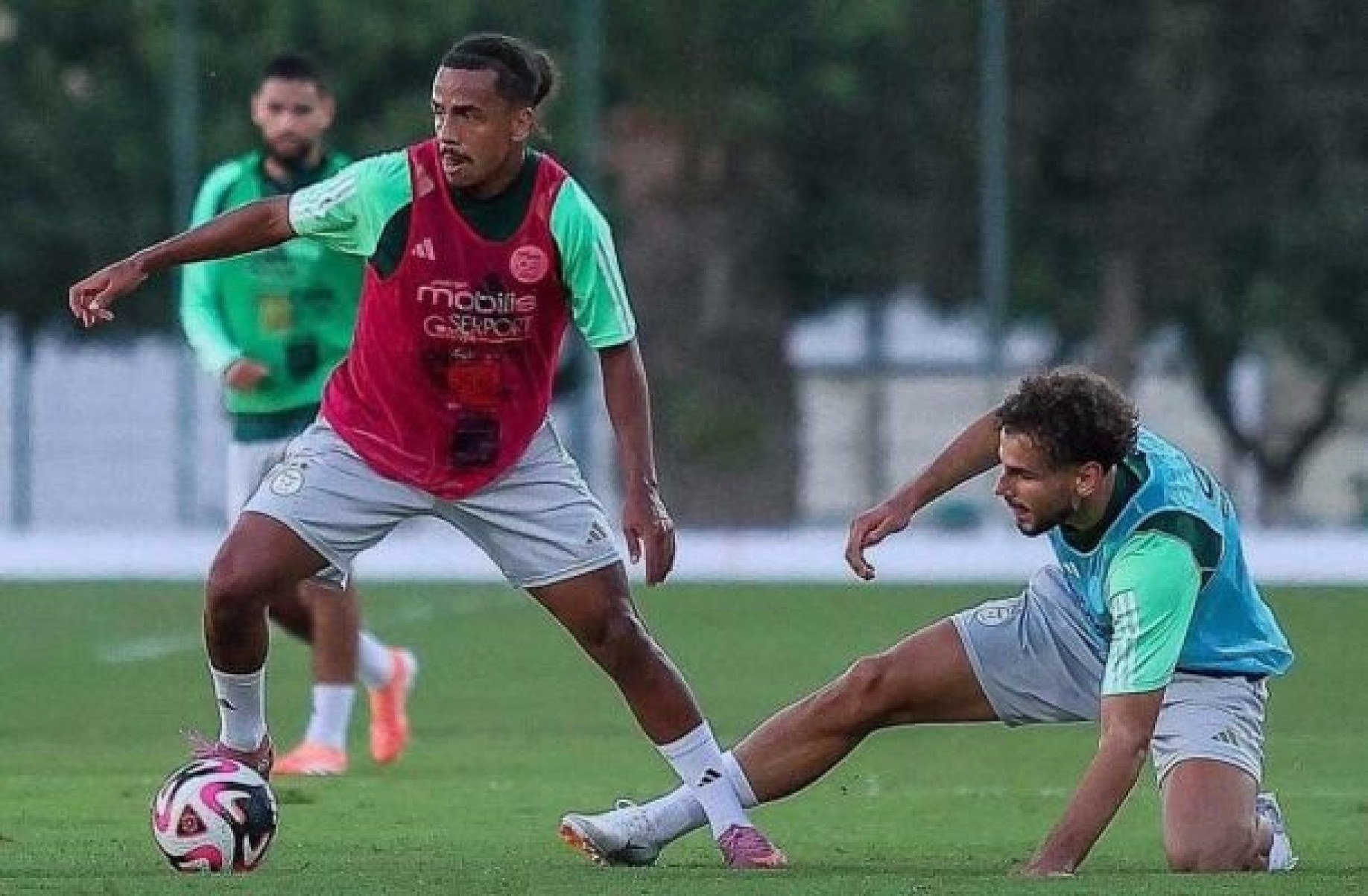 Somália x Argélia: onde assistir e escalações