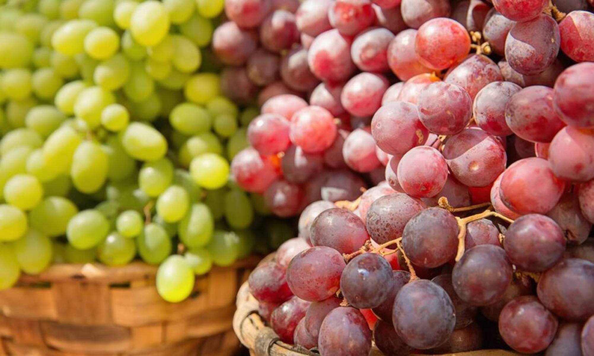 Veja por que você deveria comer uva todos os dias - Tupi