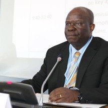 Não dá para falar de carro elétrico se África não tem luz, diz diplomata - Reprodução/Redes Sociais