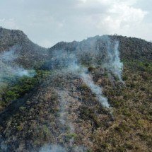 Incêndio na Serra de São José é controlado após quatro dias de combate - Leandro Couri/EM/D.A.Press